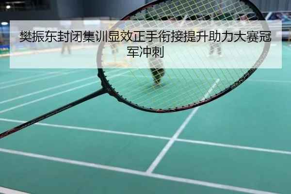 樊振东封闭集训显效正手衔接提升助力大赛冠军冲刺