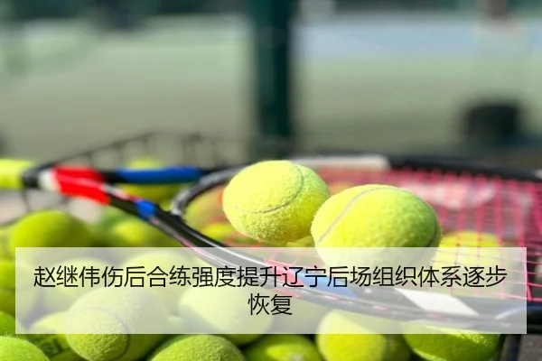 赵继伟伤后合练强度提升辽宁后场组织体系逐步恢复